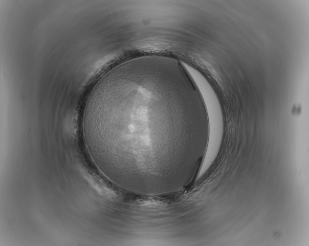 X0000091640400200709060942