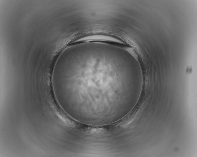 X0000091640401200709060942