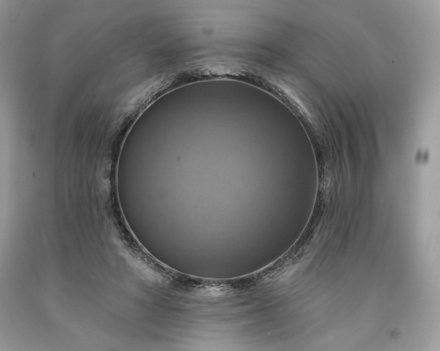 X0000091640402200709060942