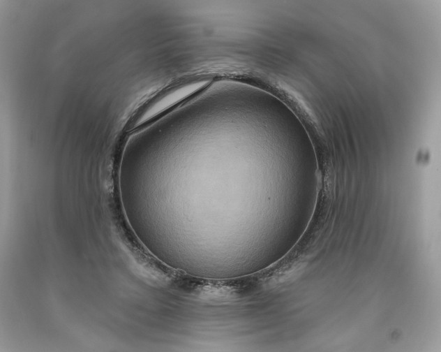 X0000091640403200709060942