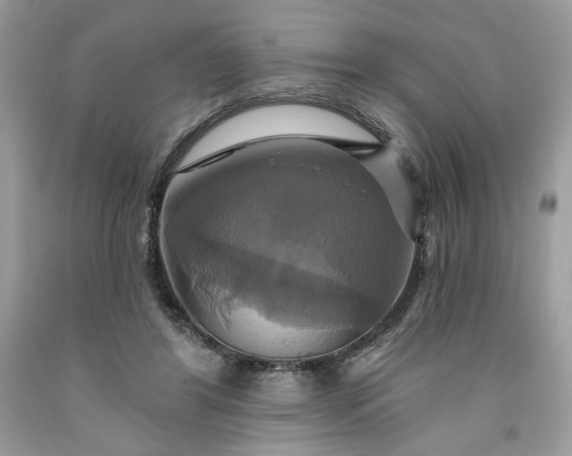 X0000091640404200709060942