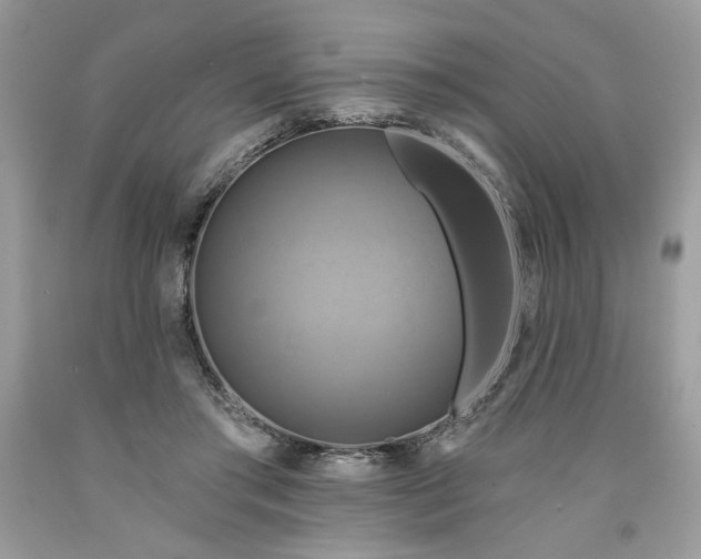 X0000091640405200709060942