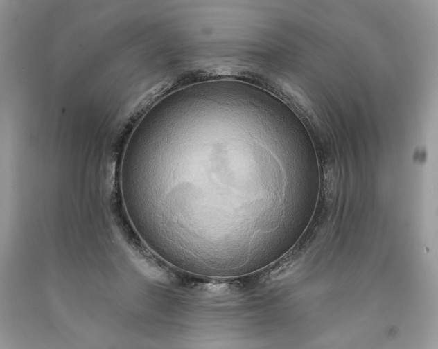 X0000091640406200709060942