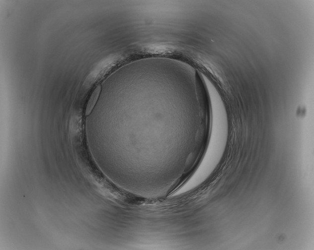 X0000091640407200709060942