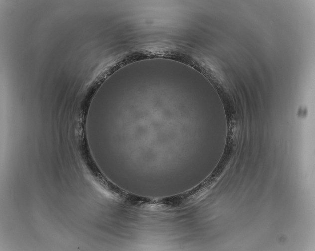 X0000091640408200709060942