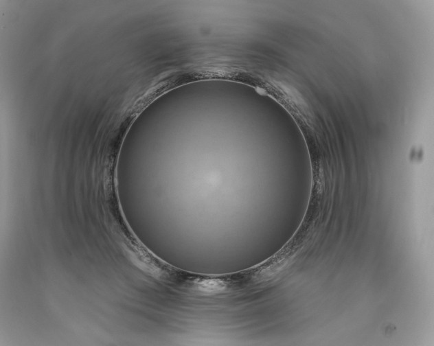 X0000091640409200709060942