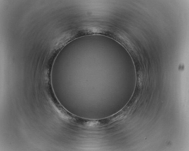 X0000091640410200709060942