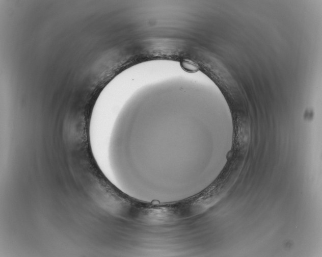 X0000091640411200709060942