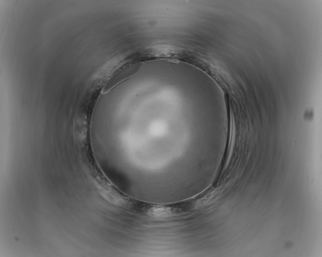 X0000091640413200709060942