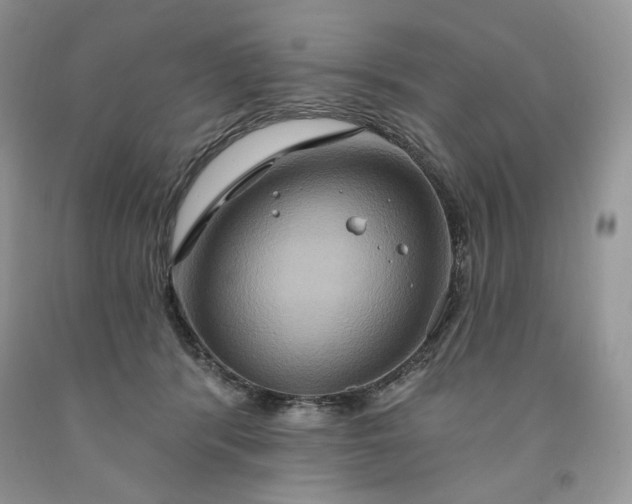 X0000091640416200709060942
