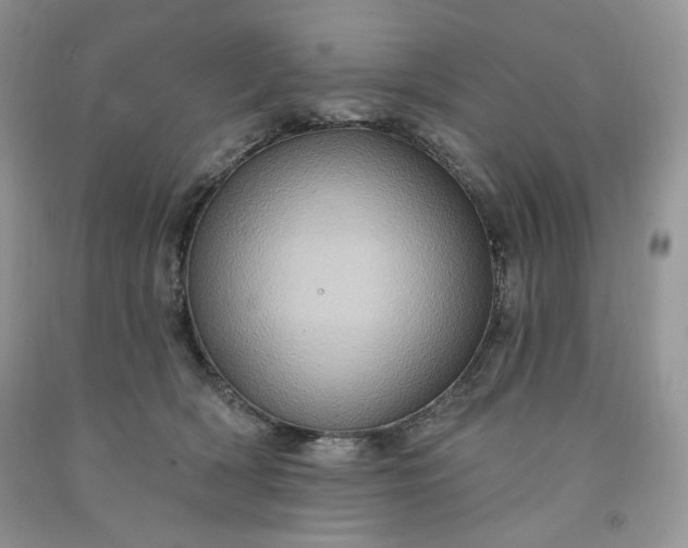 X0000091640418200709060942