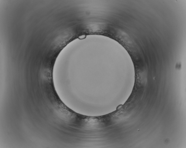 X0000091640419200709060942