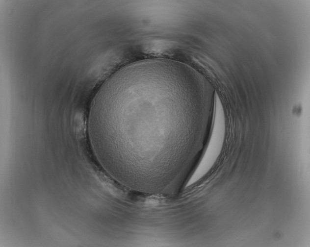 X0000091640420200709060942