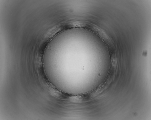 X0000091640422200709060942