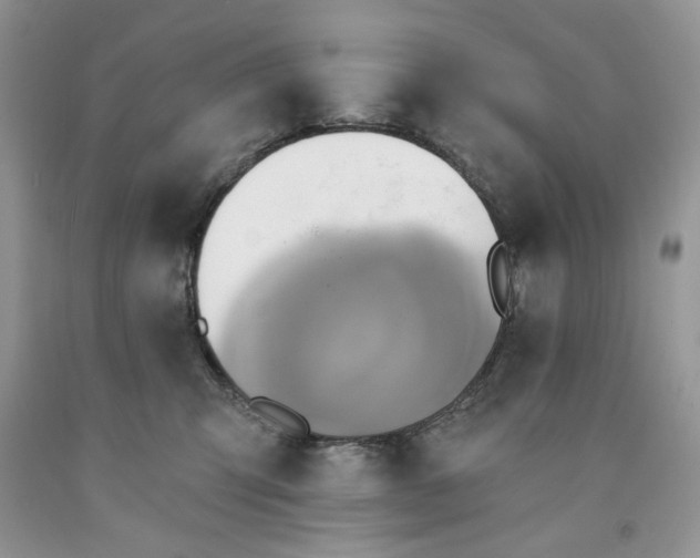 X0000091640423200709060942