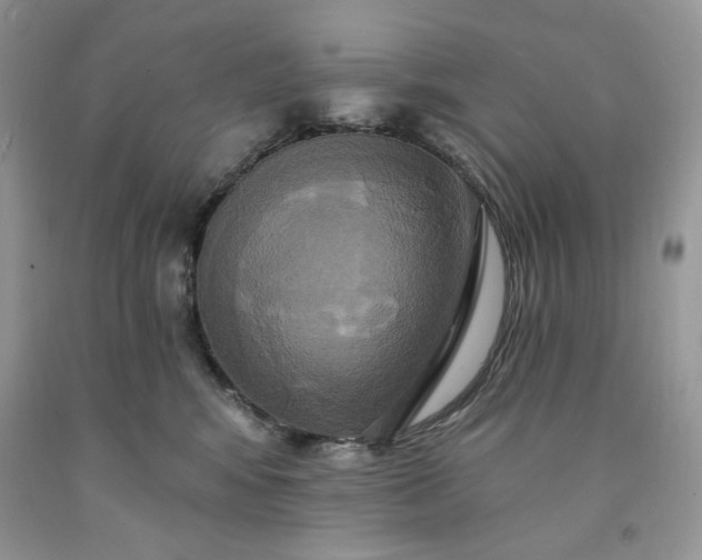 X0000091640424200709060942