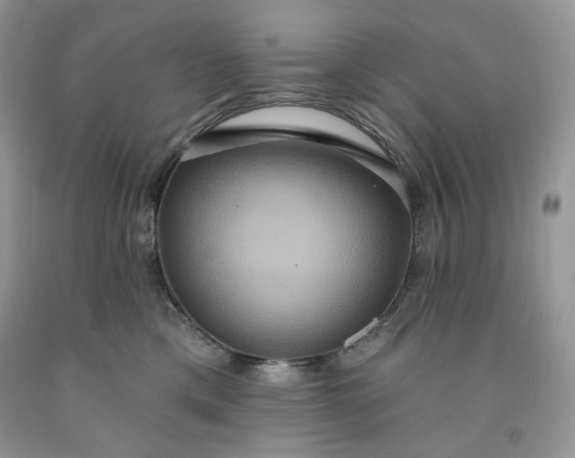 X0000091640425200709060942