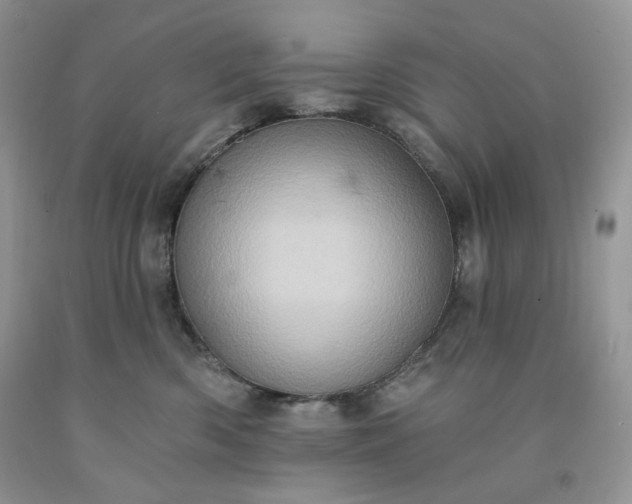 X0000091640426200709060942