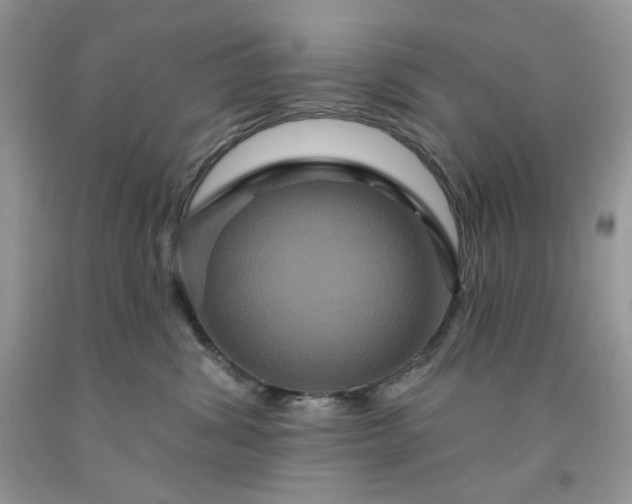 X0000091640428200709060942