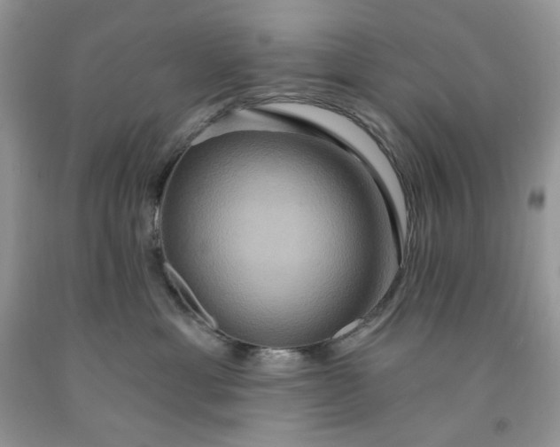 X0000091640429200709060942