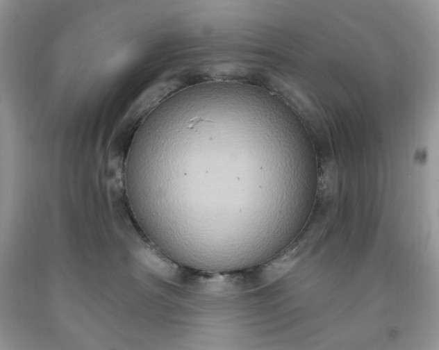 X0000091640430200709060942