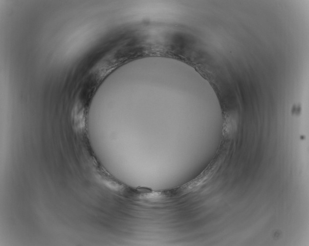 X0000091640431200709060942