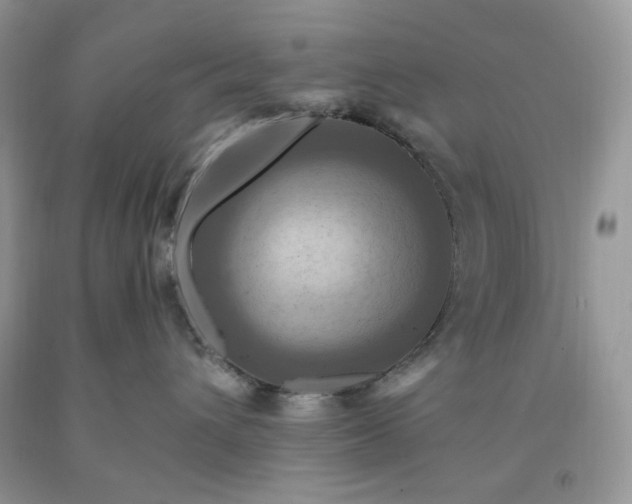 X0000091640432200709060942