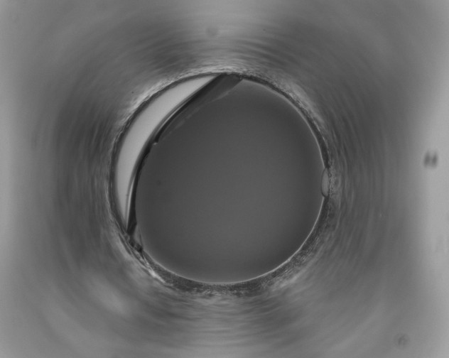 X0000091640434200709060941