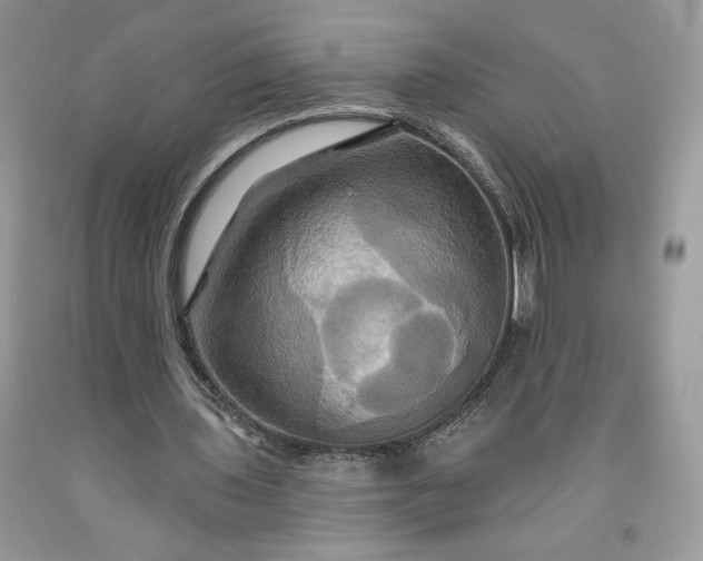 X0000091640435200709060941