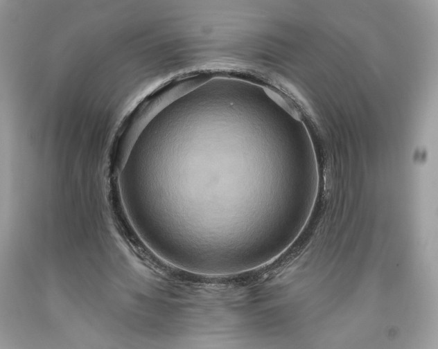 X0000091640436200709060941