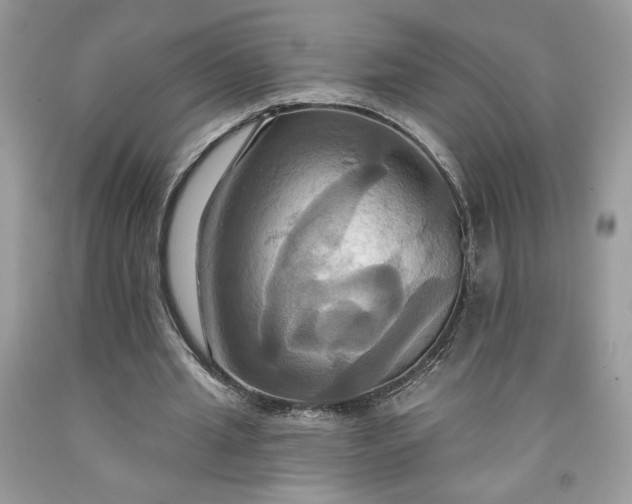 X0000091640437200709060941