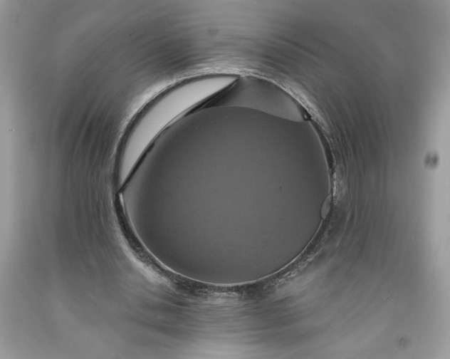 X0000091640438200709060941