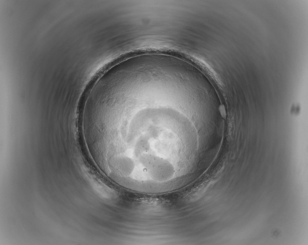 X0000091640439200709060941