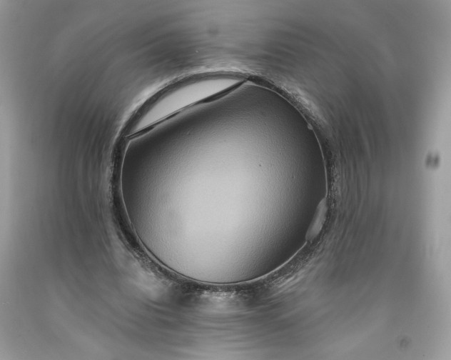 X0000091640440200709060941