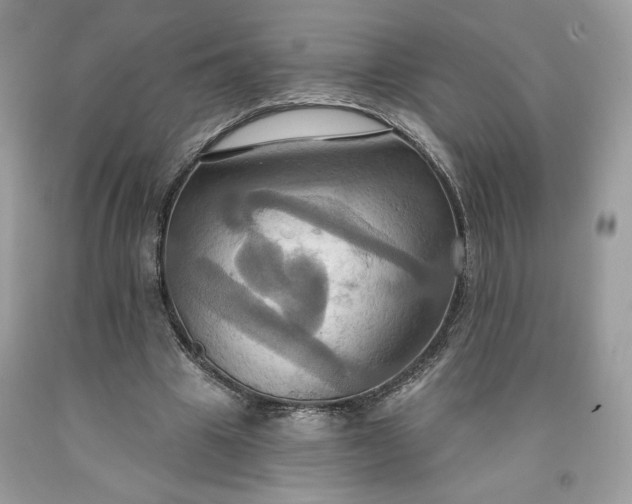 X0000091640441200709060941