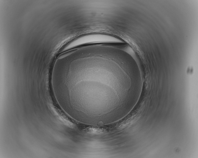 X0000091640442200709060941