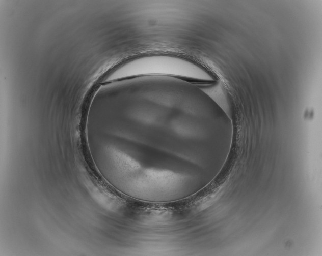 X0000091640443200709060941