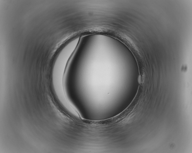 X0000091640444200709060941