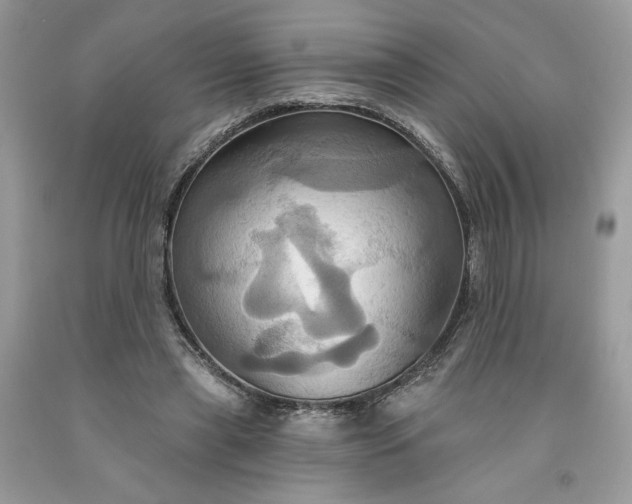 X0000091640445200709060941