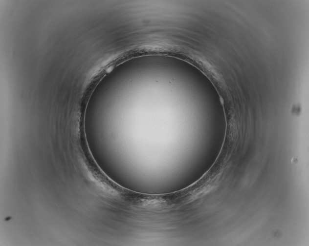 X0000091640446200709060941