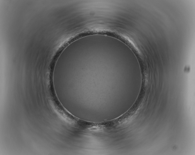 X0000091640447200709060941