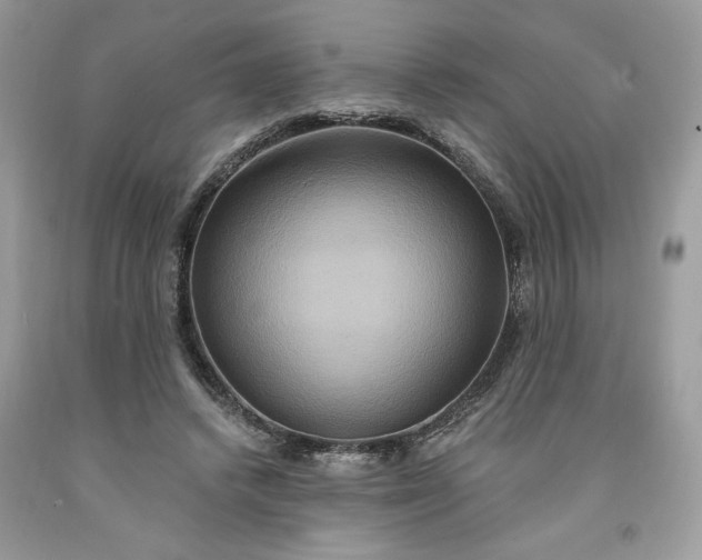 X0000091640448200709060941