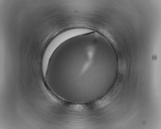X0000091640449200709060941