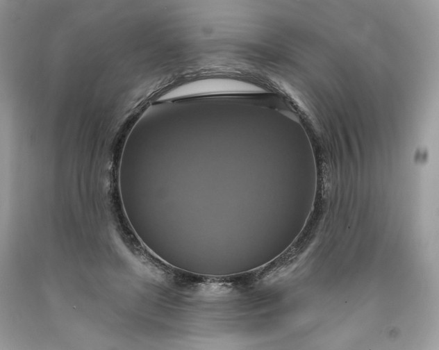 X0000091640451200709060941