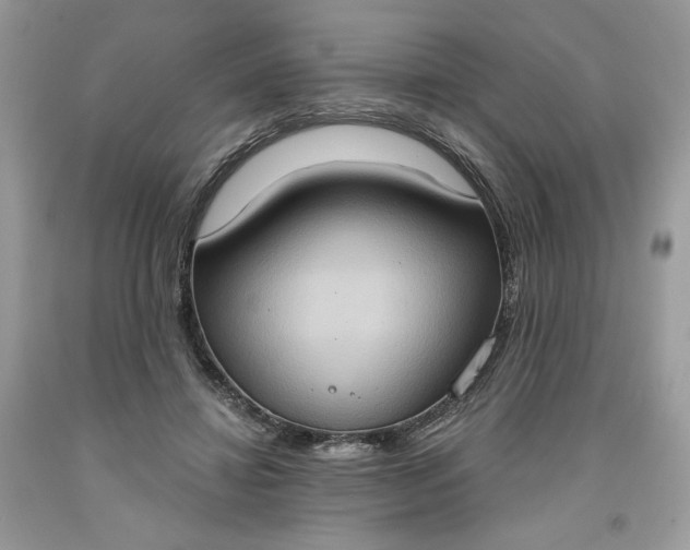 X0000091640452200709060941