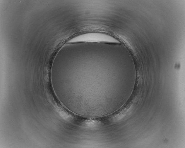 X0000091640453200709060941