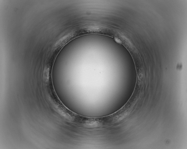 X0000091640454200709060941