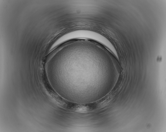 X0000091640456200709060941