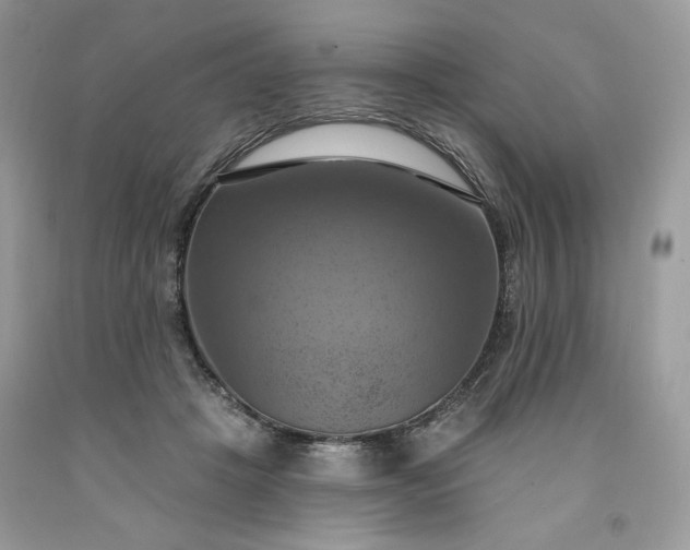 X0000091640457200709060941