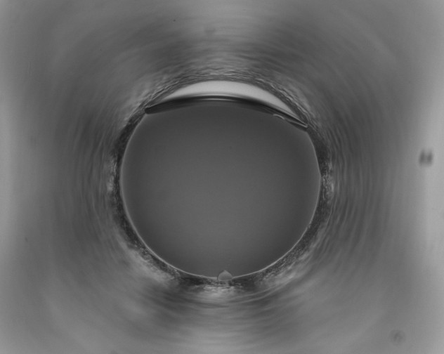 X0000091640458200709060941